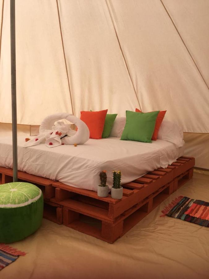 ホテル Glamping Due Amici パロミノ エクステリア 写真