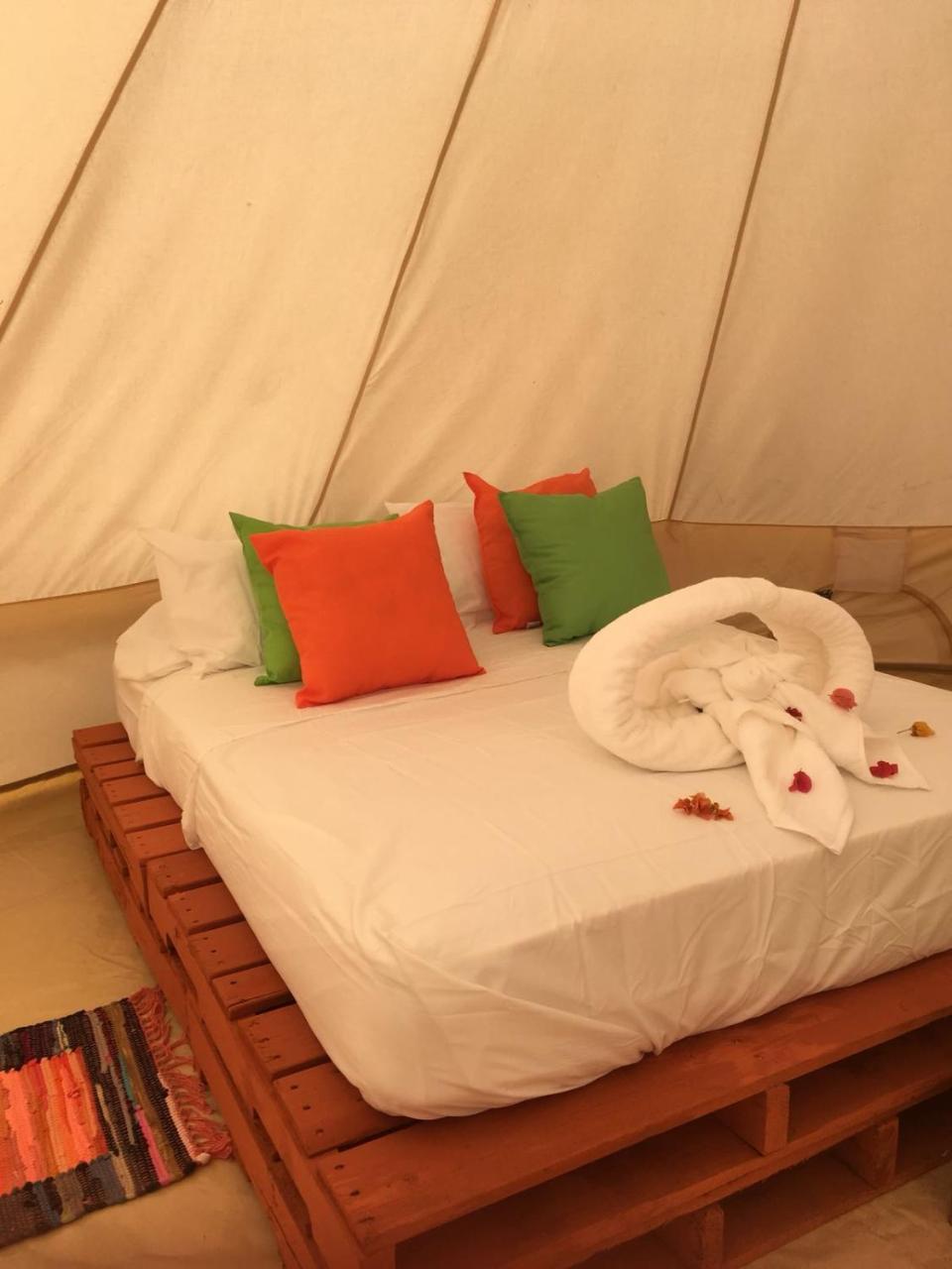 ホテル Glamping Due Amici パロミノ エクステリア 写真
